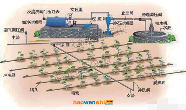 滴灌系統.jpg
